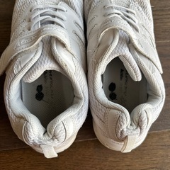 瞬足　24.5EEの画像