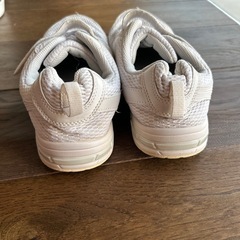 瞬足　24.5EEの画像