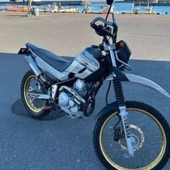 セロー250 　DG17J  美車の画像