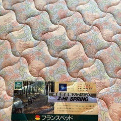 フランスベッド Z-HI SPRING セミダブルの画像