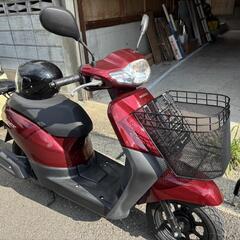 美品ホンダタクトAF79 の画像