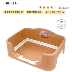 カインズ Pet’sOne イヌのトイレ オレンジ 幅49.5cm 奥行37.2cm 高さ18.2cm 犬用 ペット用トイレの画像