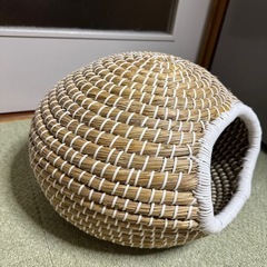 猫用のかまくらの画像