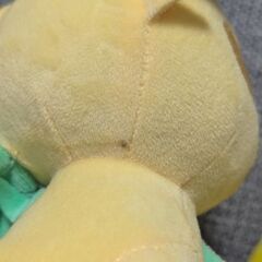 ポケモン　ぬい活コレクションの画像