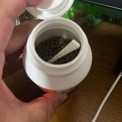 ウーパールーパーの餌の画像