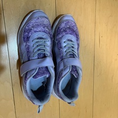 瞬足靴　22.5センチの画像