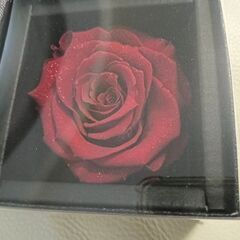 DISNEYディズニー　ダイヤモンドローズ　プリザーブドフラワー　真紅の薔薇の画像