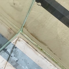 【水槽台セット可】ガラス水槽　GEX グラステリア300　　　　の画像