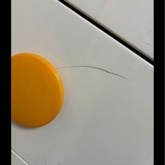 無料ですの画像