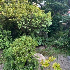 景石の画像