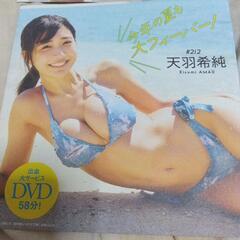アイドルDVDの画像