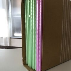 クリアーファイル 20ポケット A4（グリーン8冊+ピンク2冊）の画像