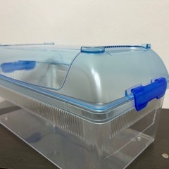 クリーンケース　フラットＬ　　虫かごの画像