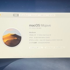Apple MacBook 8,1 MK4M2J/A 2015年の画像