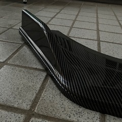 カナード(大きめ)の画像