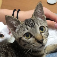 優しくして欲しいな〜 お膝が大好き！ベル君