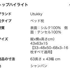 Utukky 6Aシルク枕カバー シャンパン43×63×15cm 2枚セットの画像