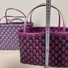 プラカゴバックの画像