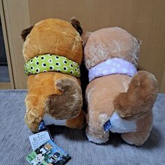 豆柴のぬいぐるみの画像