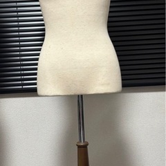トルソー女性　　の画像