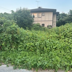 草刈り作業承ります！