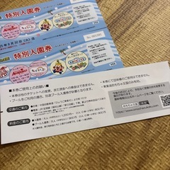 おもちゃ王国入園券の画像