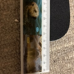 美品　大人用　L　26センチ　長靴　の画像