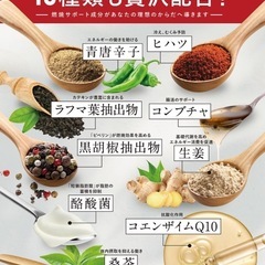 カロリンピュア 血中中性脂肪 内臓脂肪 ウエスト周囲径 の減少をサポート　ダイエット　サプリメントの画像