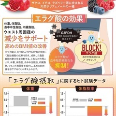 カロリンピュア 血中中性脂肪 内臓脂肪 ウエスト周囲径 の減少をサポート　ダイエット　サプリメントの画像