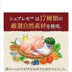キャットフード400gの画像