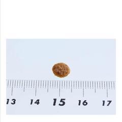 キャットフード400gの画像