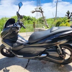pcx125の画像