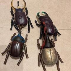 魔法のカブトムシ＆クワガタの画像