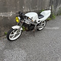 実働車☆ホンダ NS-1 ネイキッド仕様 NSR NS50F NSF TZR TZM ゼファー XJR ZRX MVXよりも！の画像