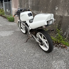 実働車☆ホンダ NS-1 ネイキッド仕様 NSR NS50F NSF TZR TZM ゼファー XJR ZRX MVXよりも！の画像