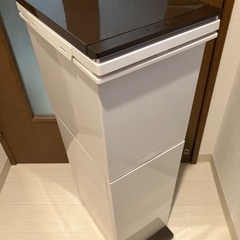 分別ダストボックスパッキン付ペダル2段スリム38Lの画像
