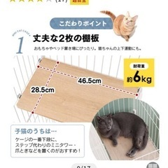 【~21日まで】猫用二段ケージ　ハンモック、壁付け爪研ぎ、ステップ付き の画像