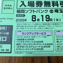 8／18 福岡ソフトバンクVS埼玉西武　2枚セットの画像