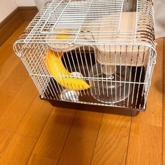 ハムスターのお家の画像
