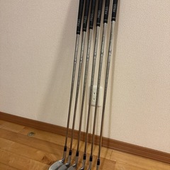 アイアンセット　プロギアの画像