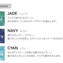 資生堂　アルティスト　ヘアカラー/CYAN（シアン）80gの画像