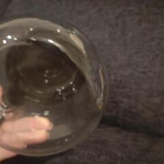 コーヒーポット iwakiの画像