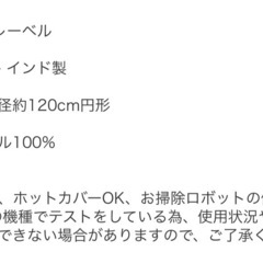 ラグ美品の画像