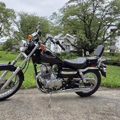 日本で乗っているの私だけかもしれません！【HONDA レブル125】 ホンダの画像