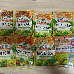 離乳食12ヶ月　(パウチ31個)の画像