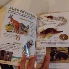 動物の赤ちゃんの画像