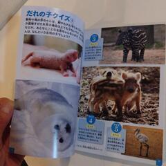 動物の赤ちゃんの画像