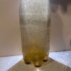 500mlペットボトル入りオオミジンコ 1000匹+超a！メダカ・金魚の餌に　1150円  の画像