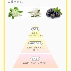 [新品未使用]アンレーベル　Vリペア　セットの画像