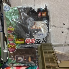 クワガタ カブトムシの画像